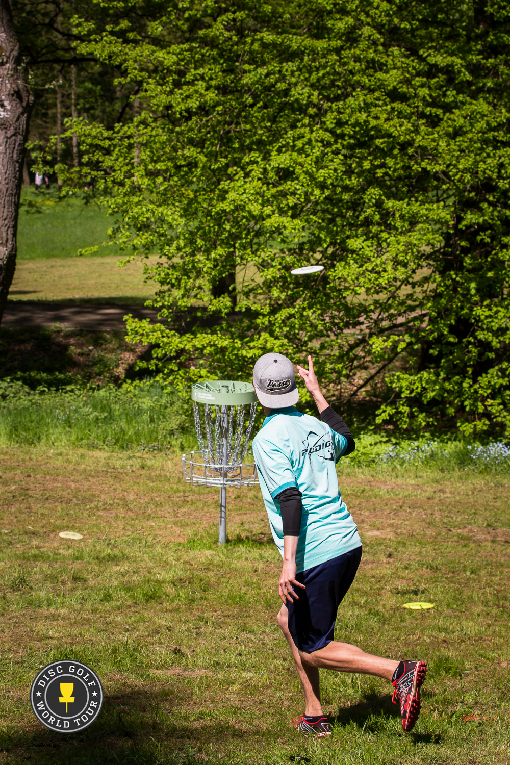 IMG_6941800px800px Disc Golf World Tour